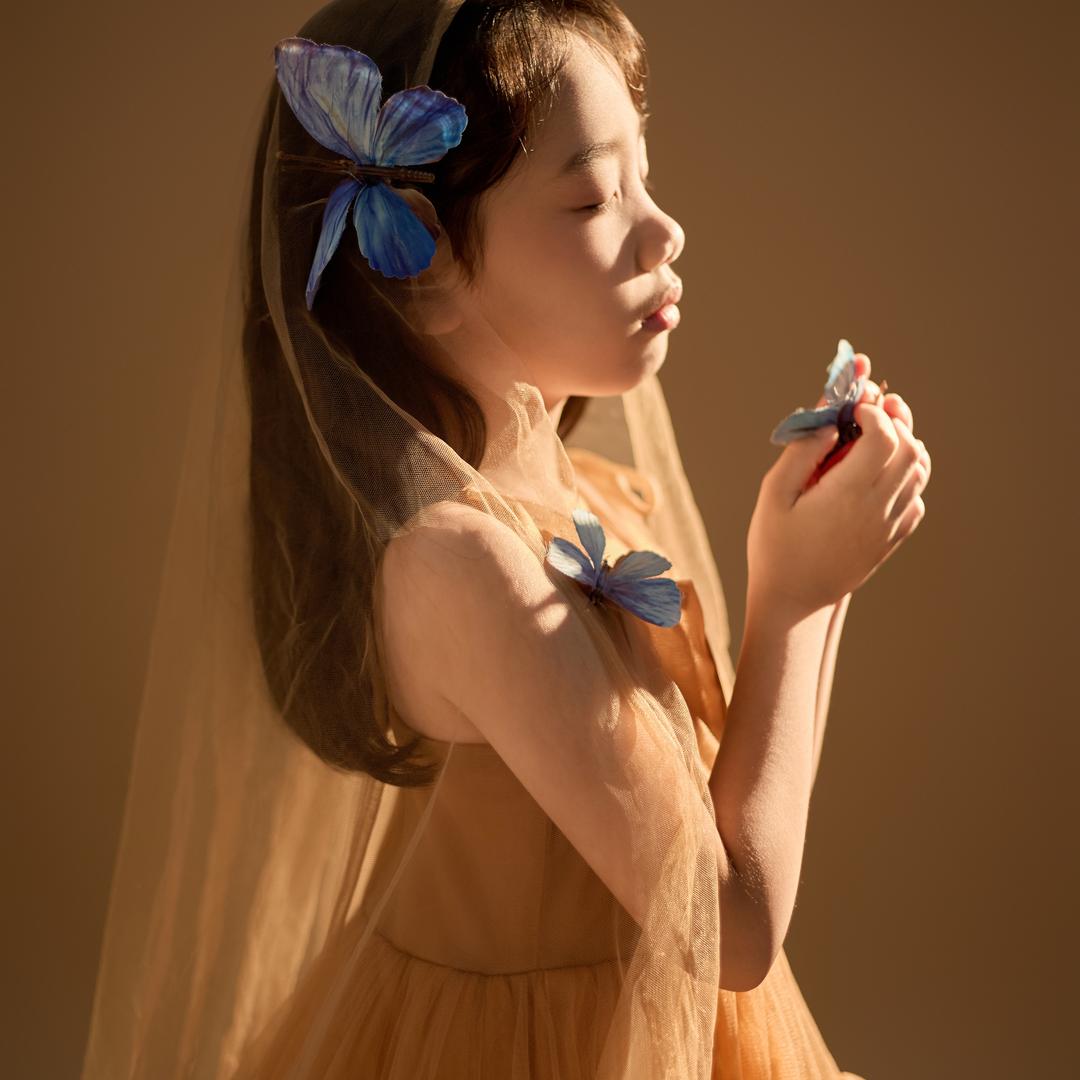 蝴蝶婚纱
