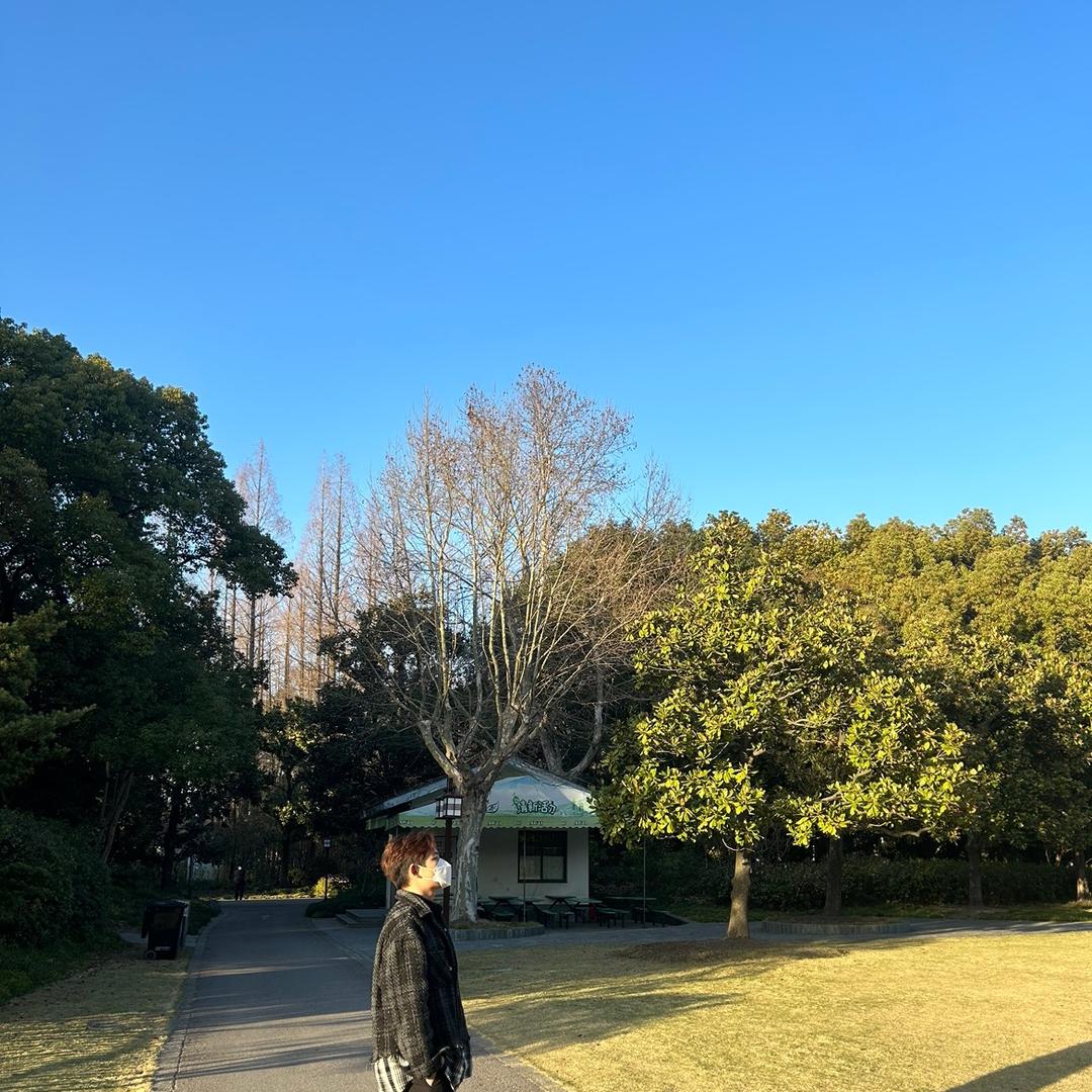 随丰
