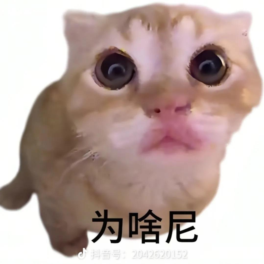 用户62358964780235