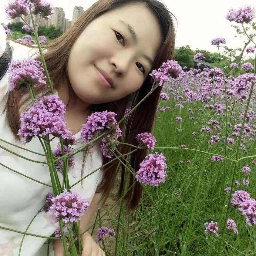 雨后的彩虹
