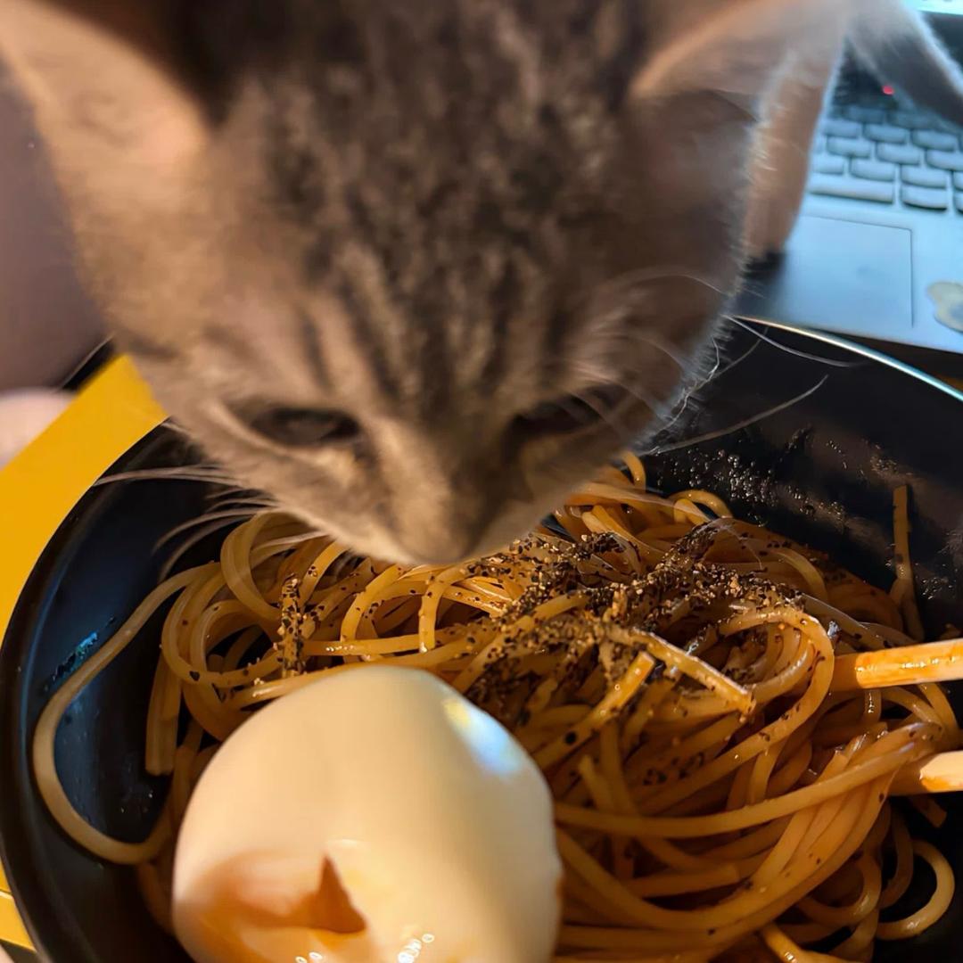 骨头钉