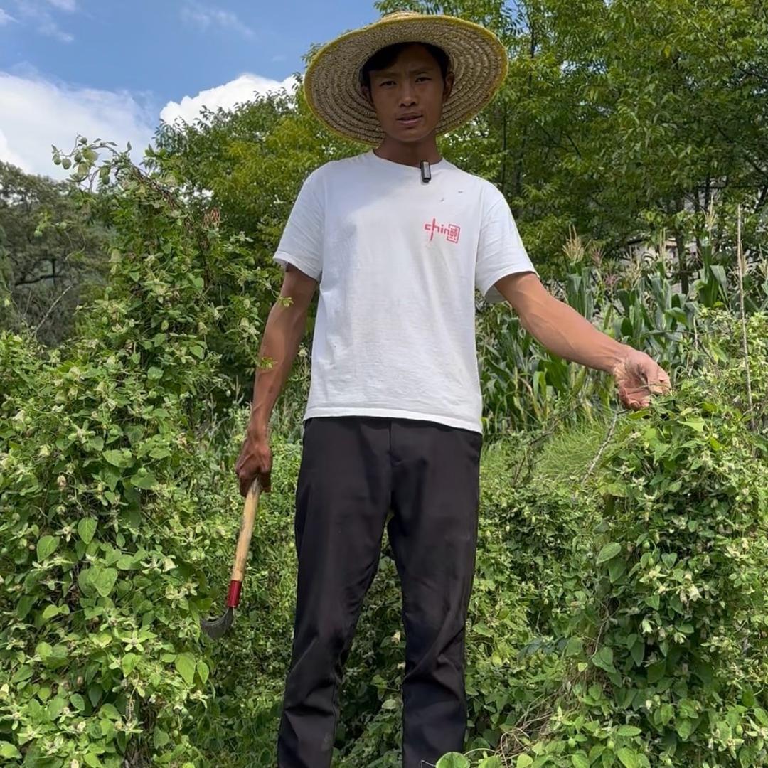 乌蒙参爷大超