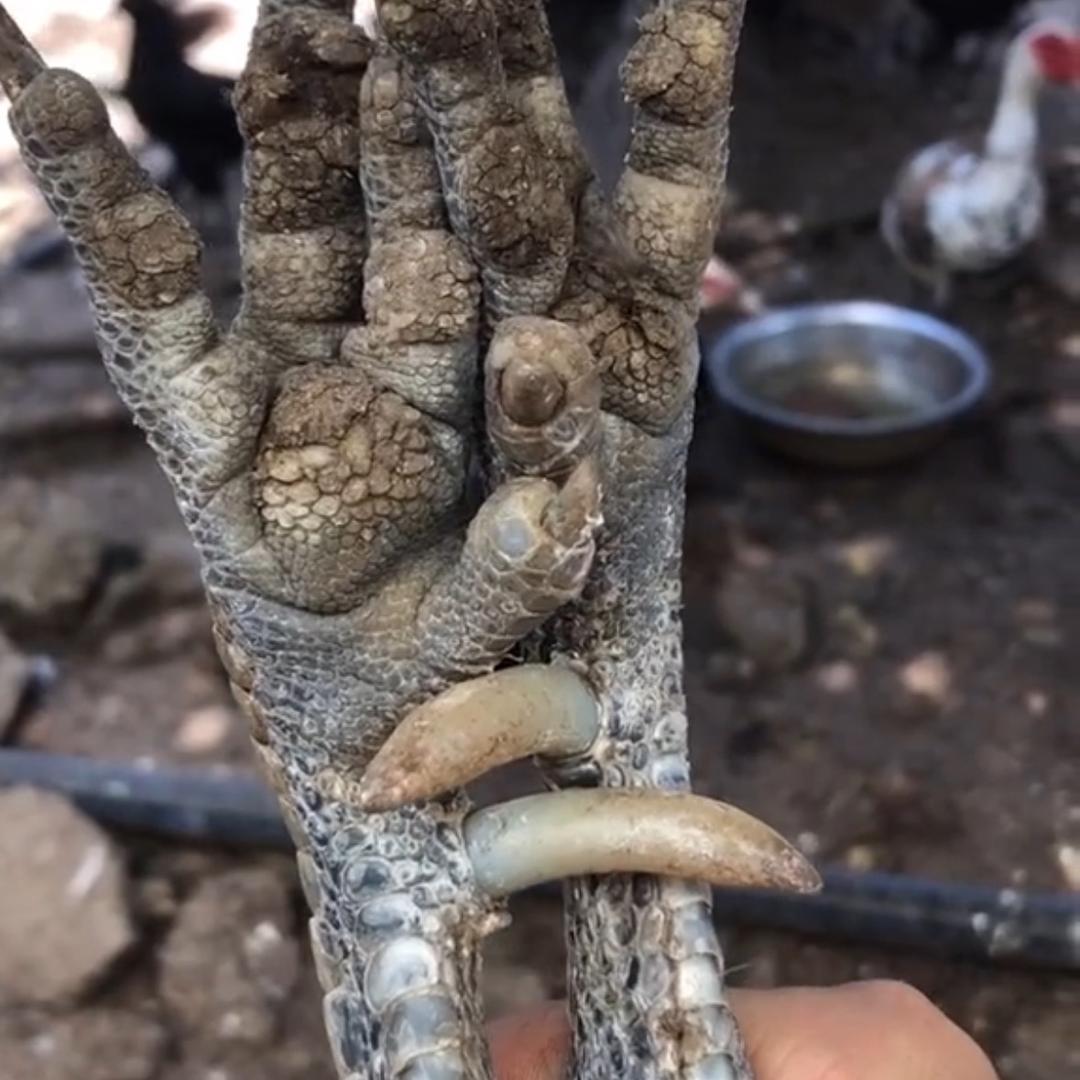泸州专业收土货