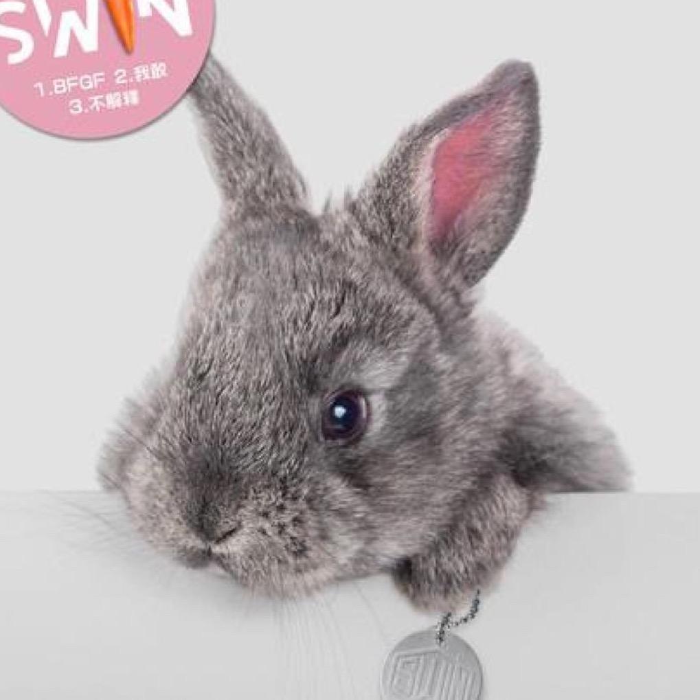 囉譯🐰