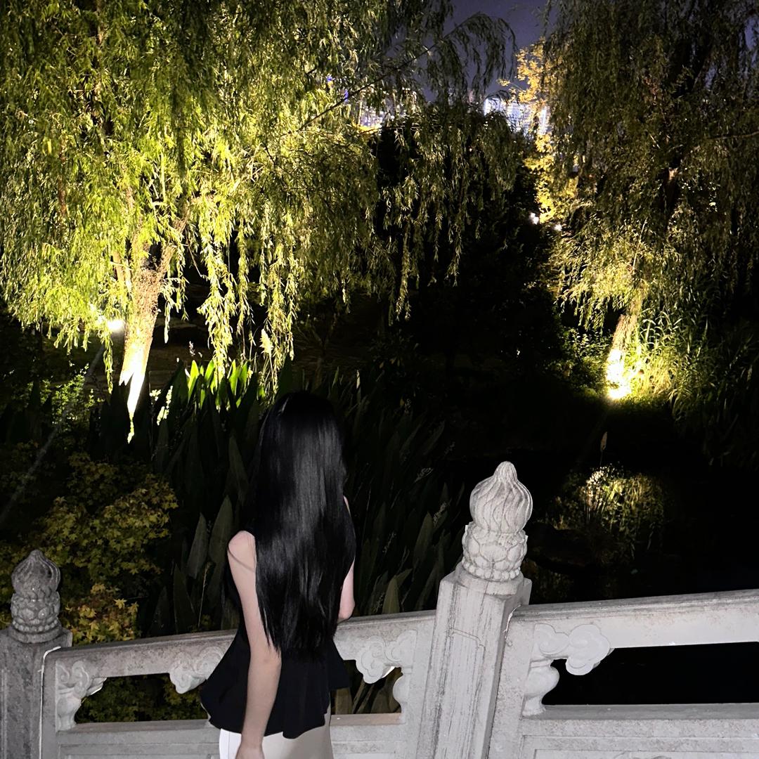 一只叮当🏠