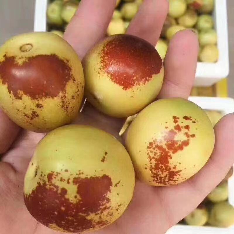 保绪生鲜旗舰店