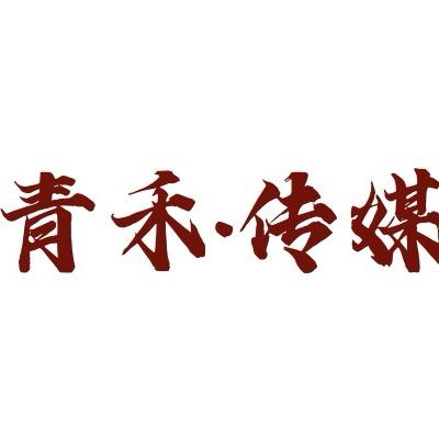 青禾传媒-宋先生