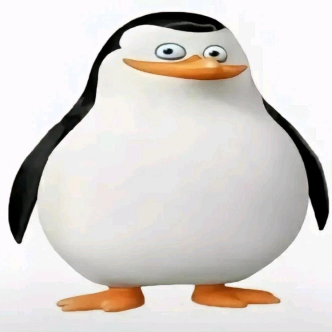 别问吃什么我也不知道