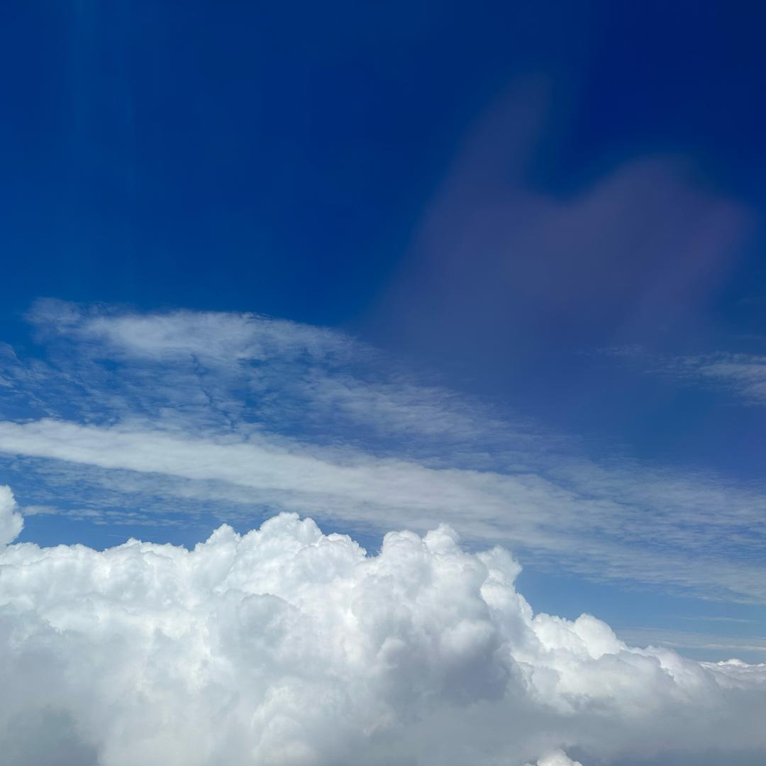 用户3157174902281
