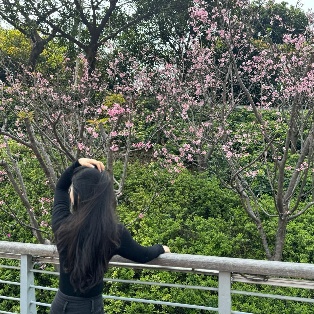 时光（好物在橱窗）