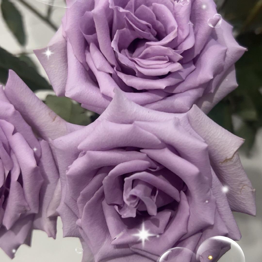 ៚ོོ ҉҉҉҉҉៚星ོ辰ོོ ͜