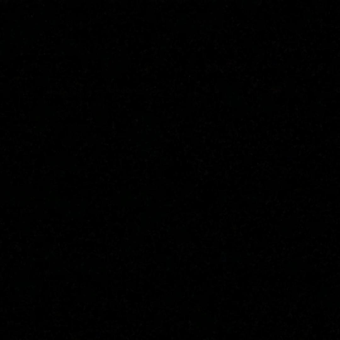 爱钓鱼的小乌龟