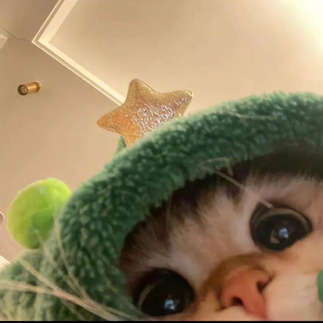 鲨鱼辣椒💫