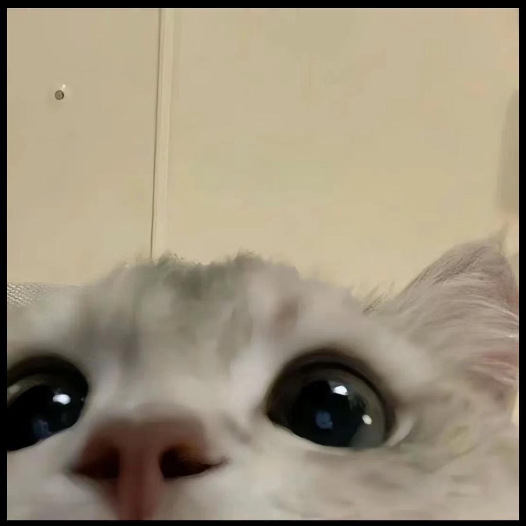 。.