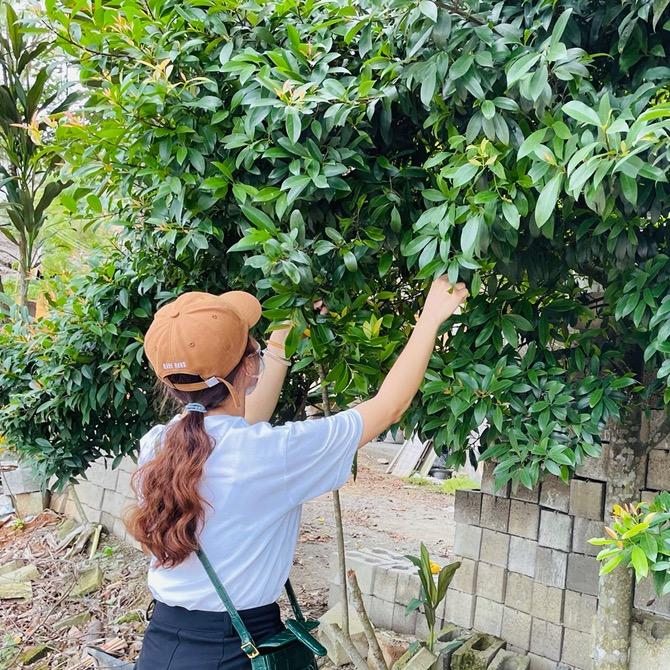 李九九的农村生活