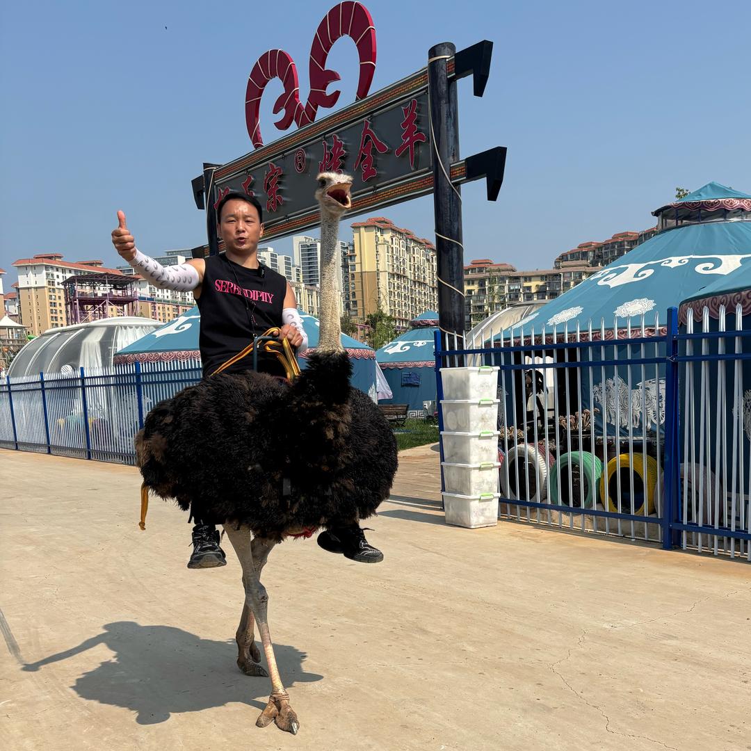 阿华 【学无止境】驼得住