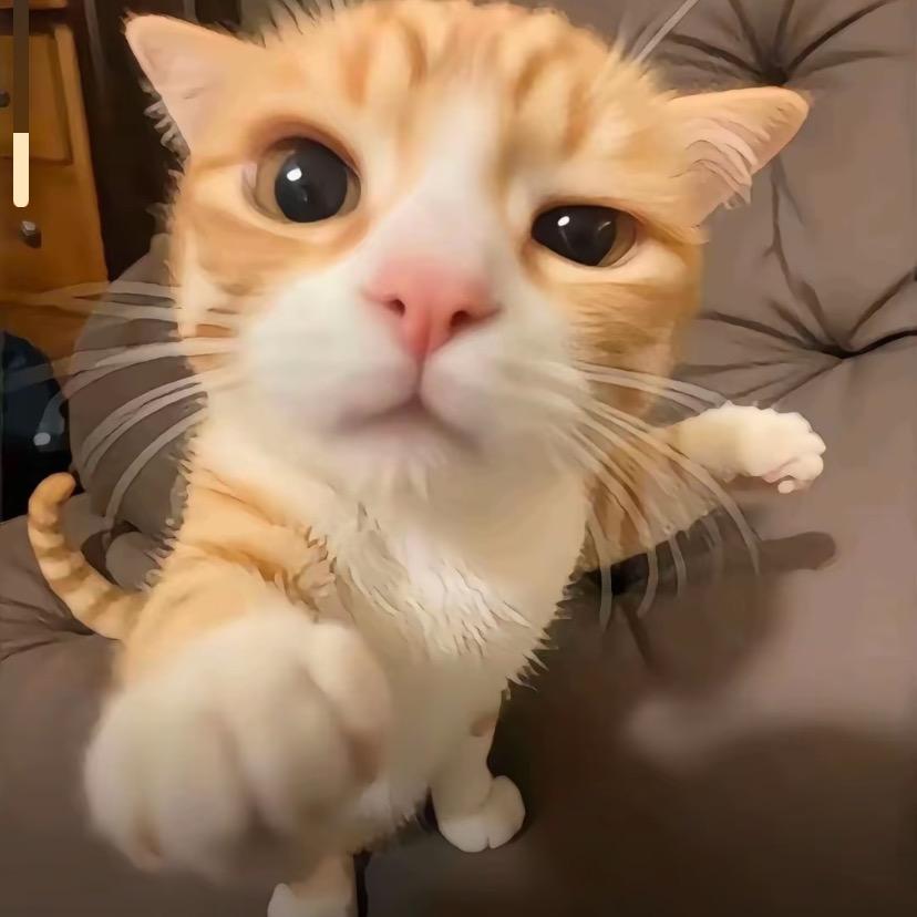 有痣者，事竟成，破釜沉舟，百二秦关终属楚