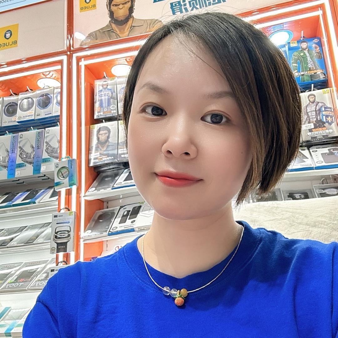 洛阳雁飞贴膜