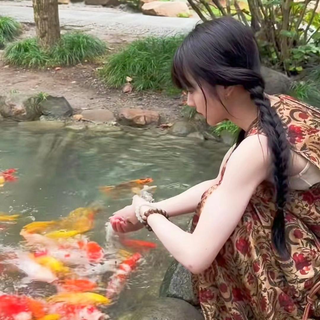 锦鲤HOho虔敬
