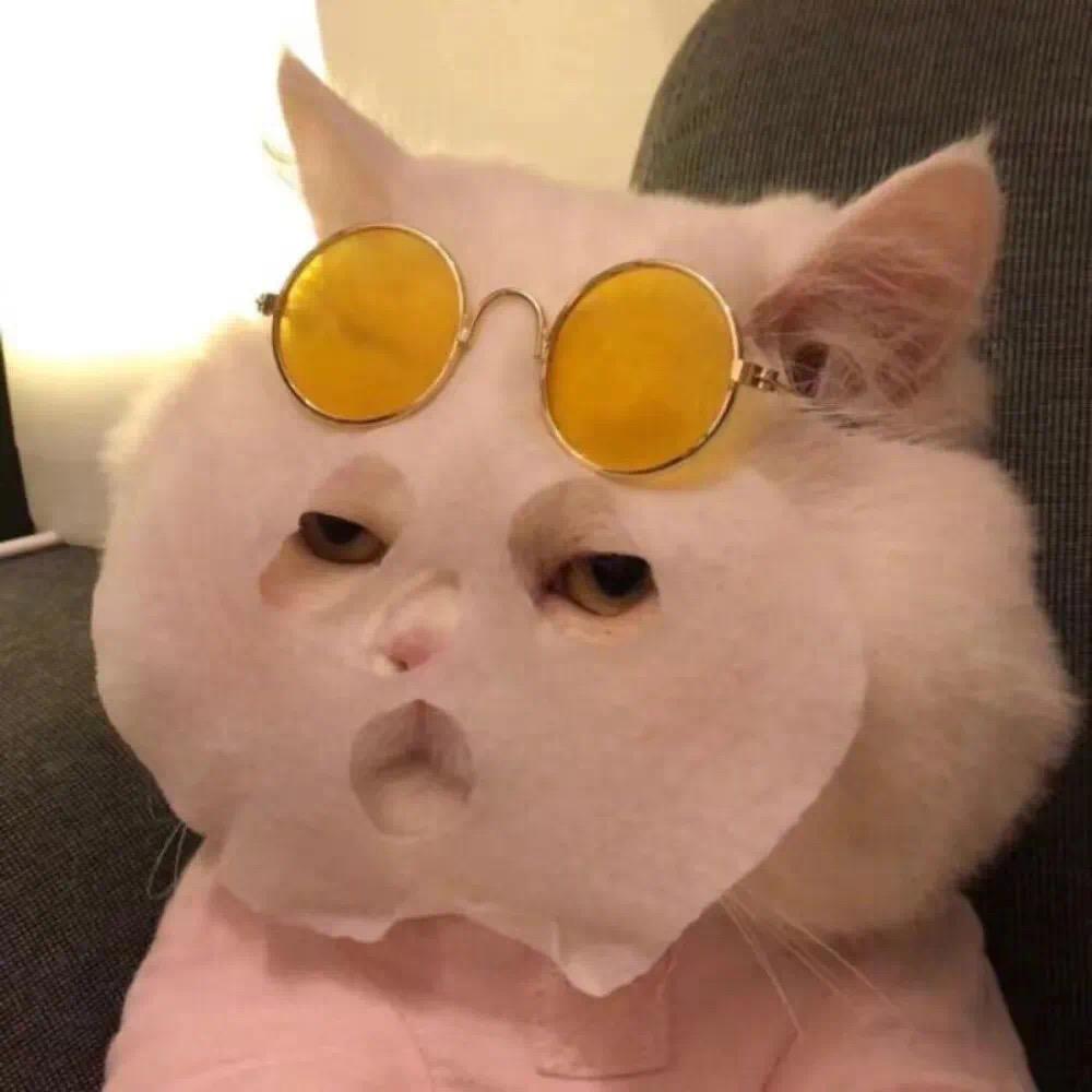 念安**