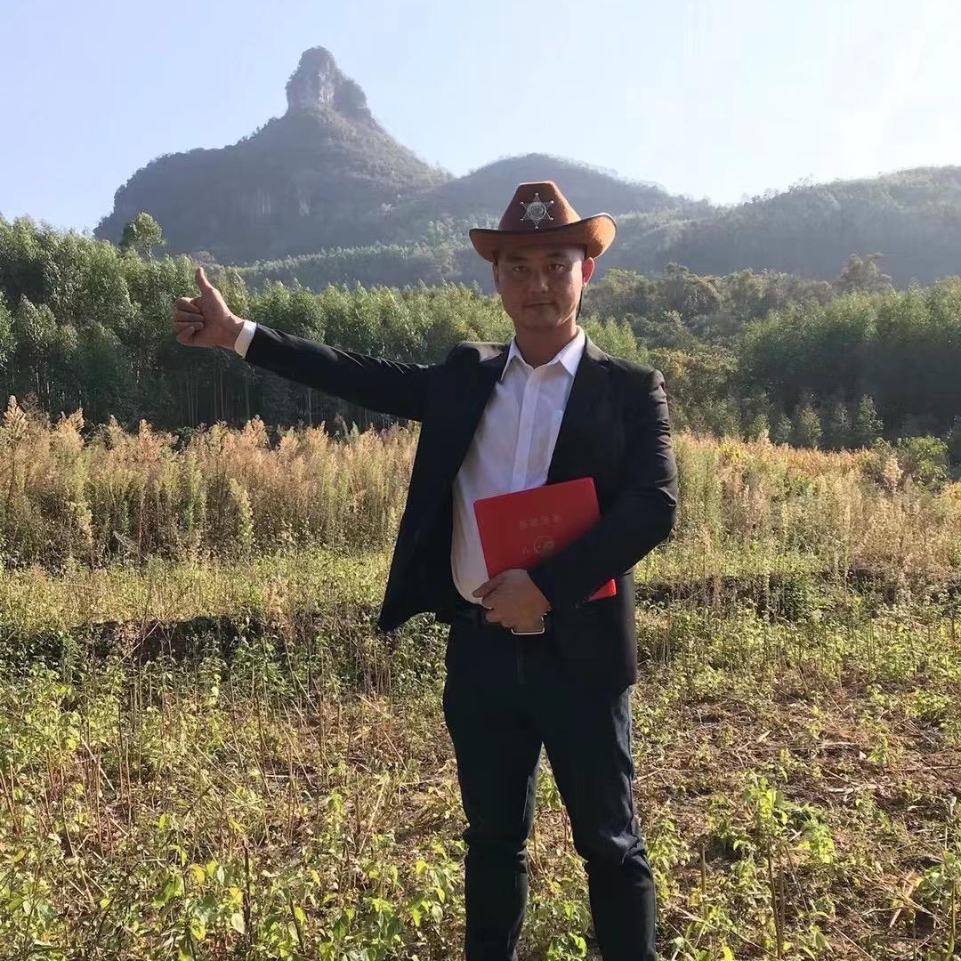 王金  家居地理