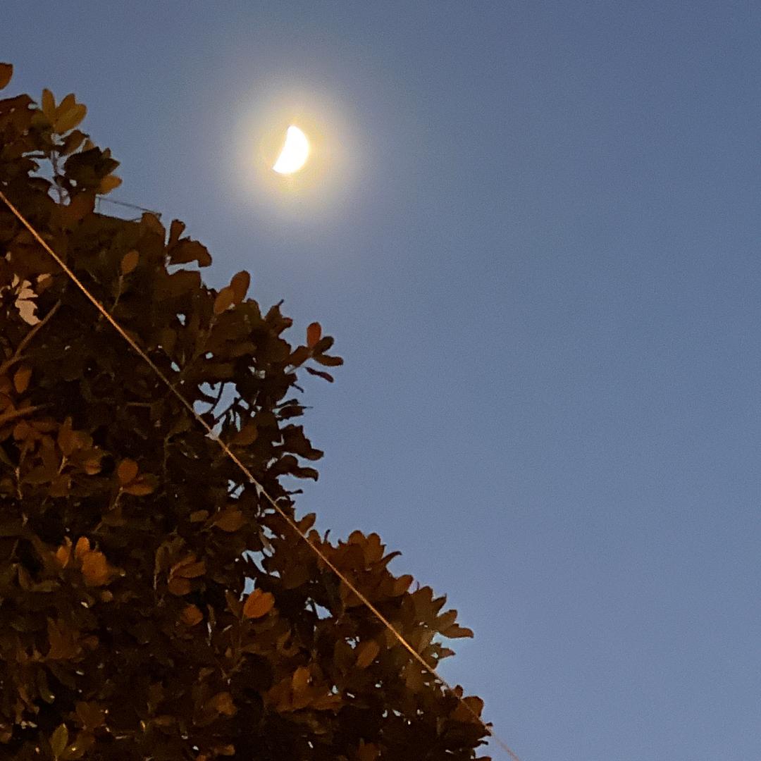 小鱼要做大文豪