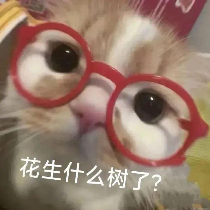 咬一口年糕