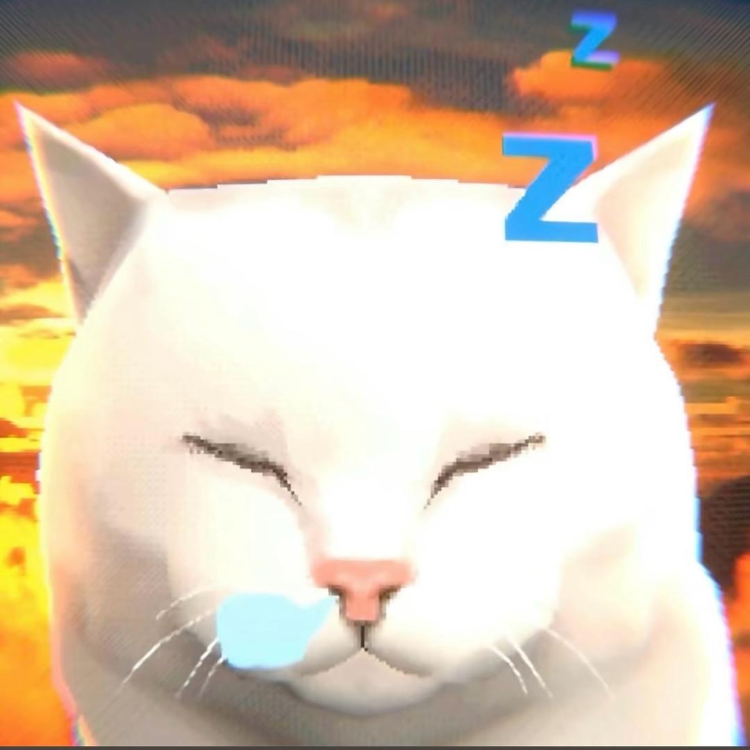 小酷猫