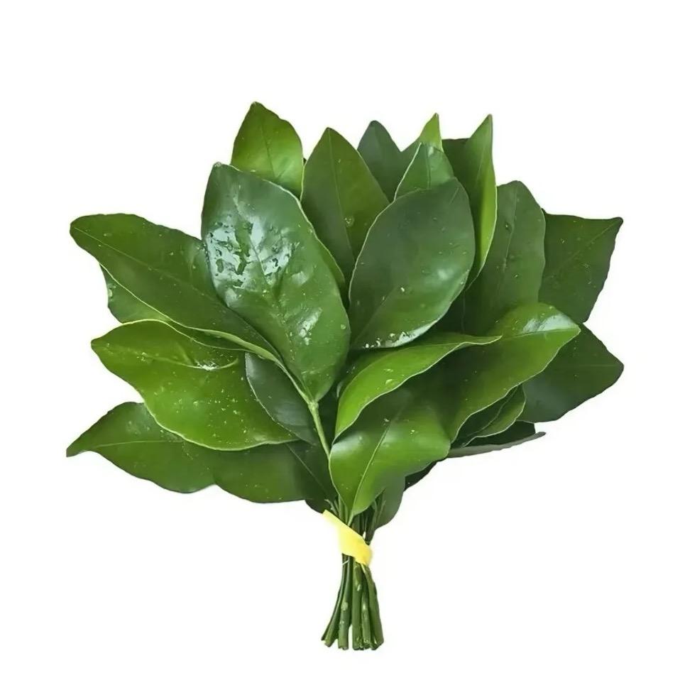 明天见.