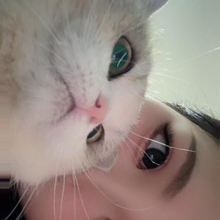 漆咔娃