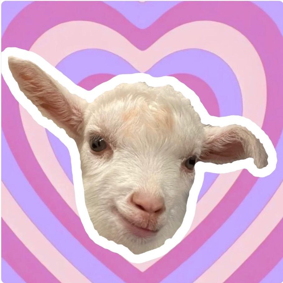 豆芽🐑