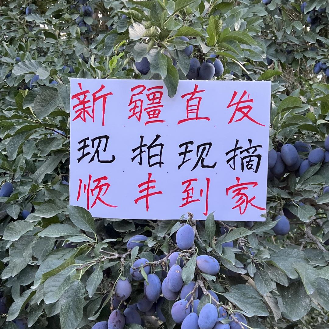 新疆邮选