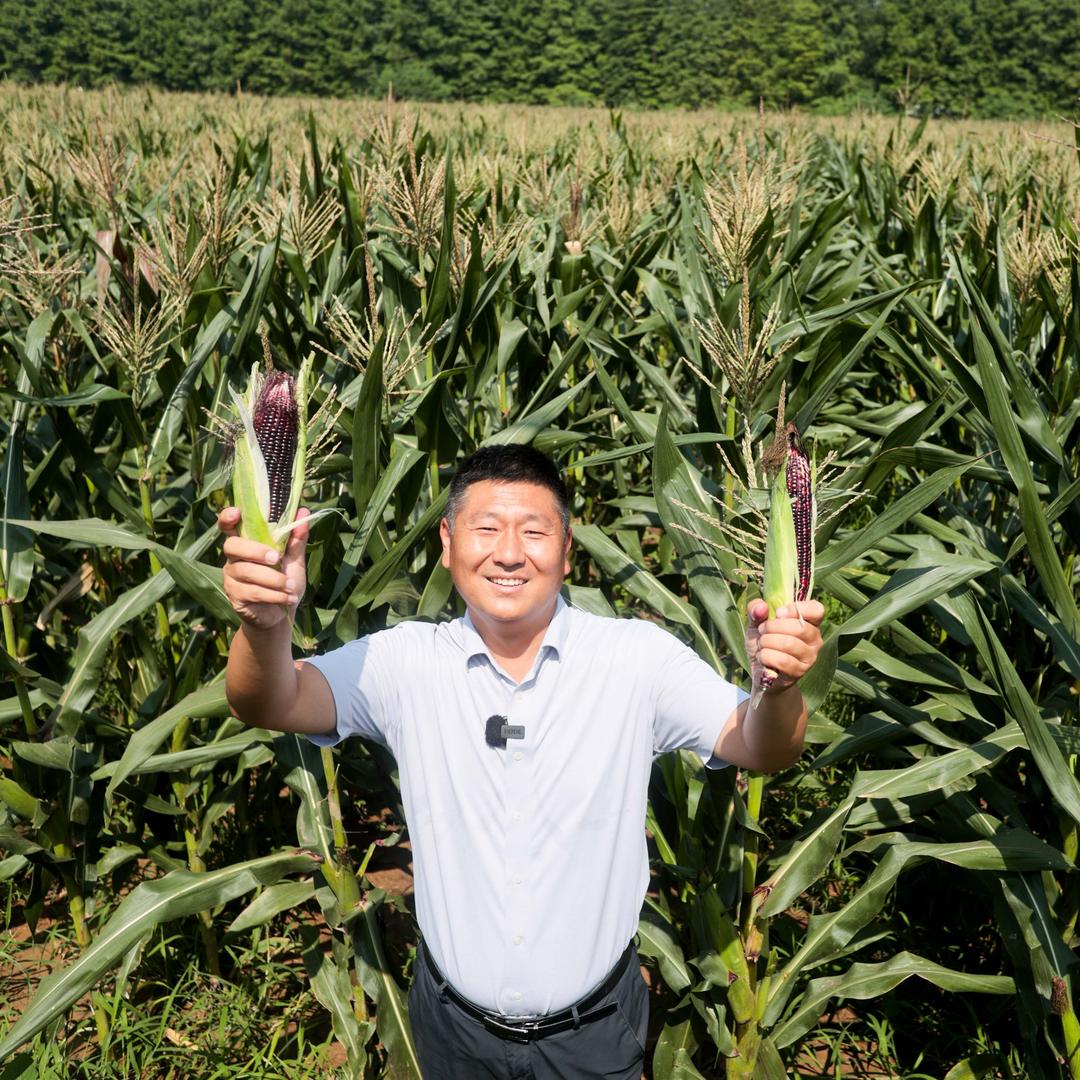 周集村老周