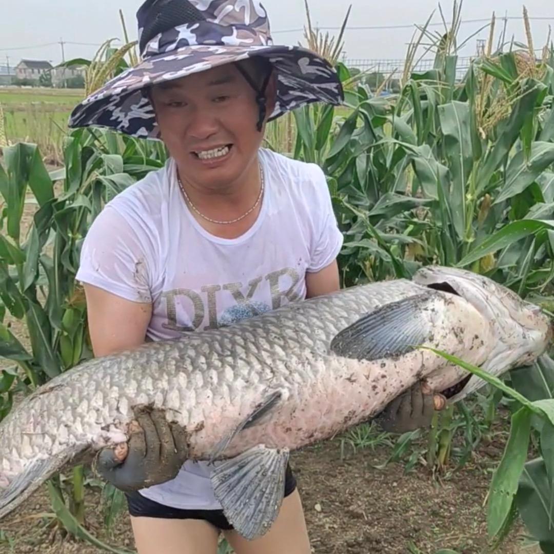 快乐钓鱼