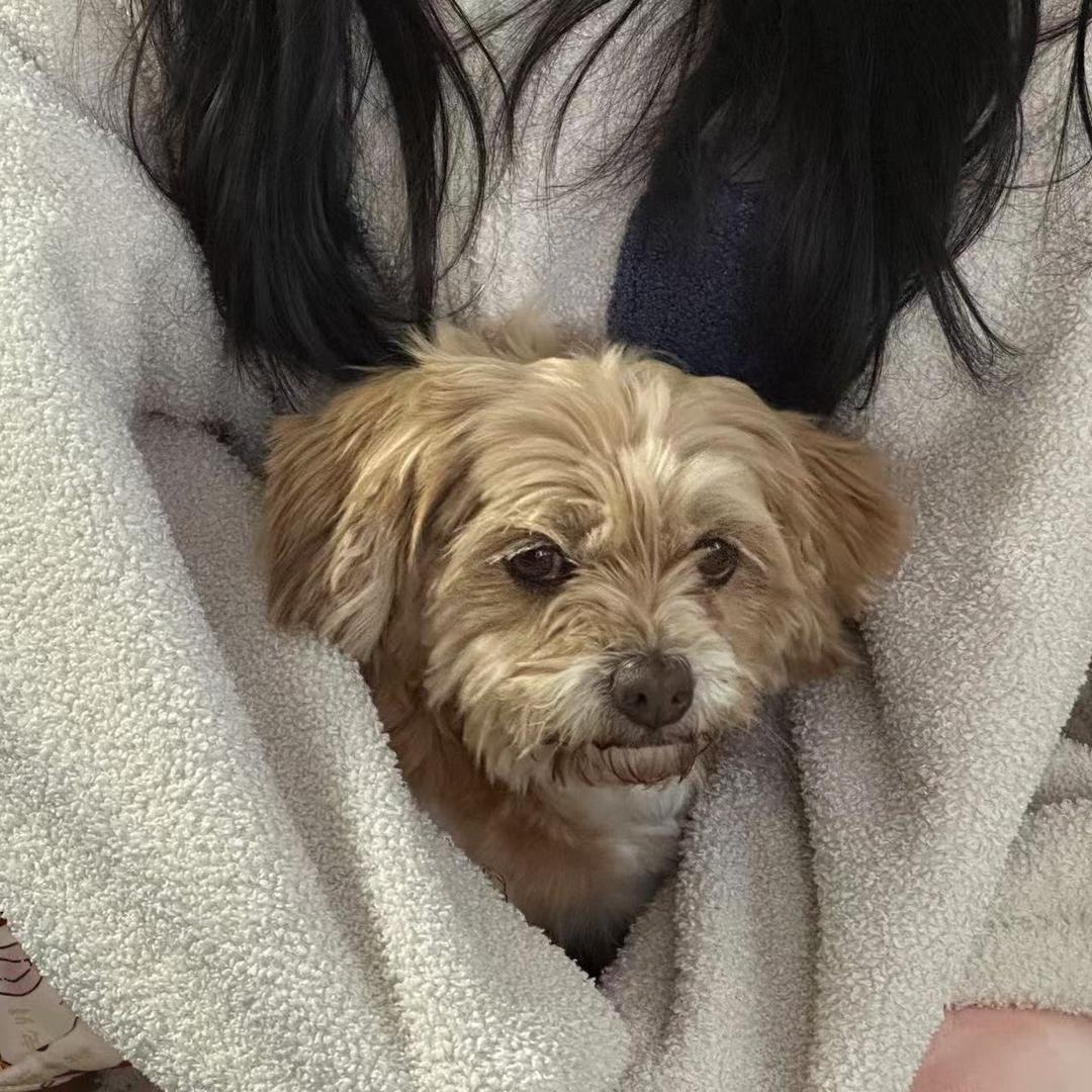 要早点睡觉🥖
