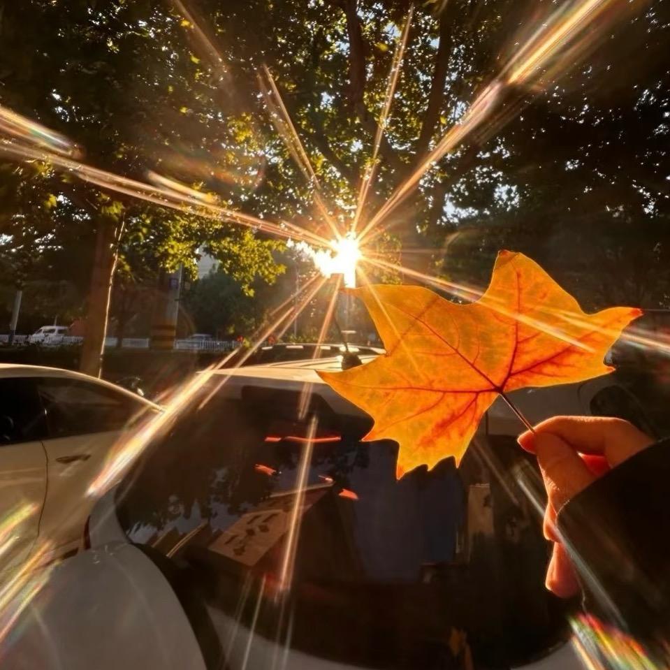 海底世界的小鲨鱼🦈