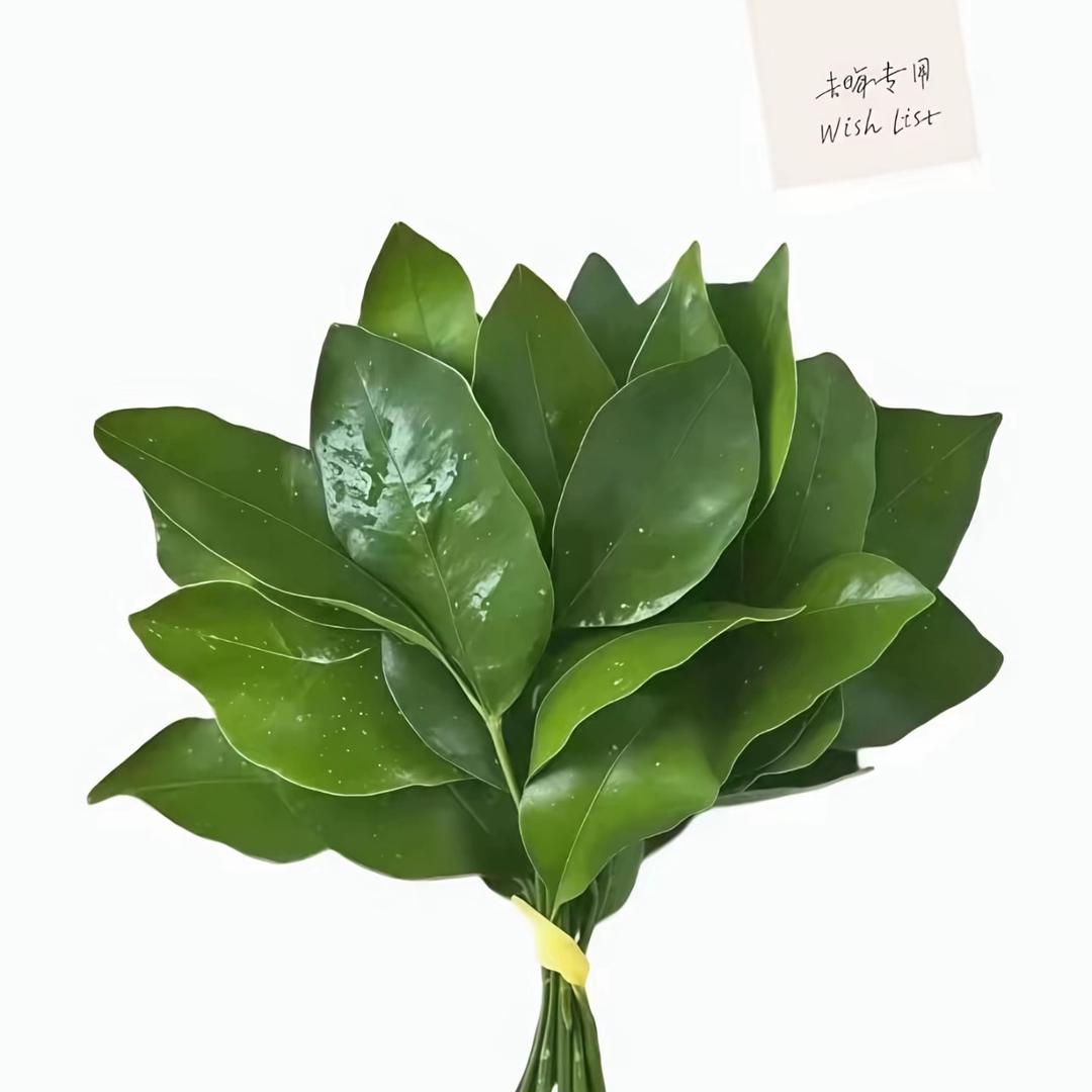 LV欣子$❤️‍🔥