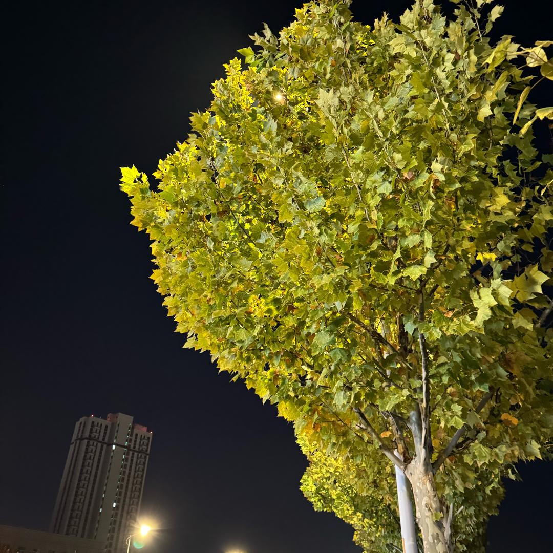 清晨的粥