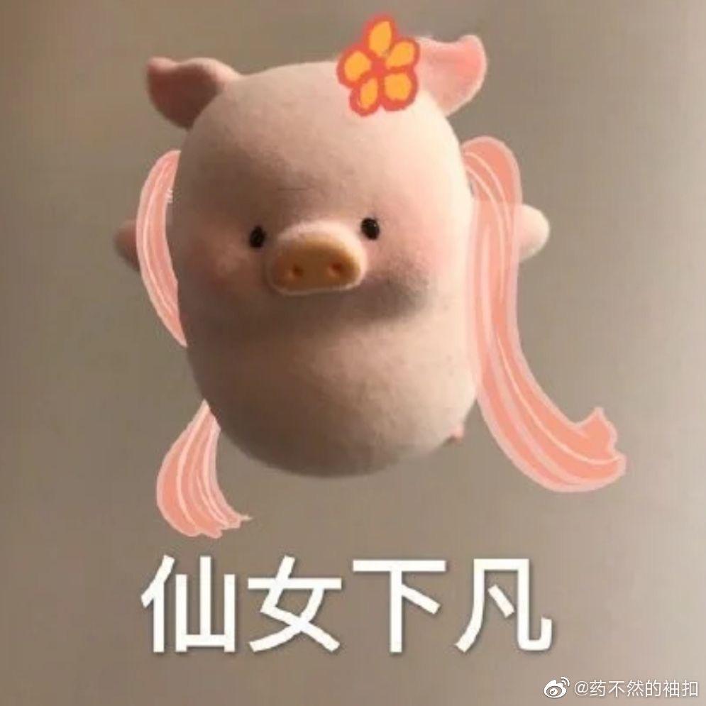 改改禾禾