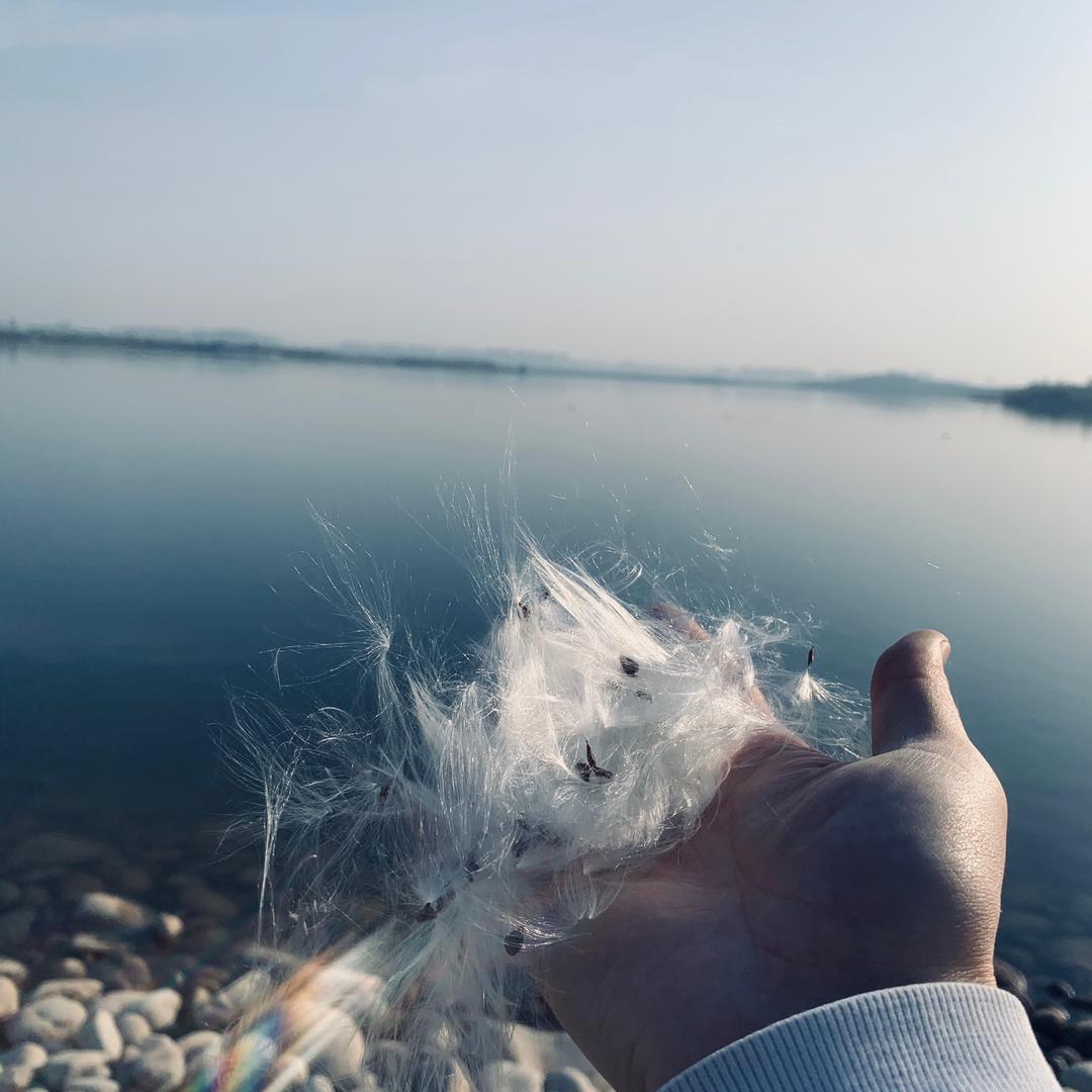 淘气灰🇺🇸🇨🇳