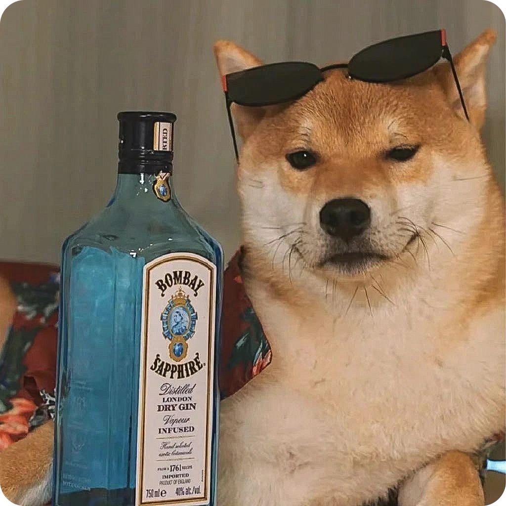 别梦寒