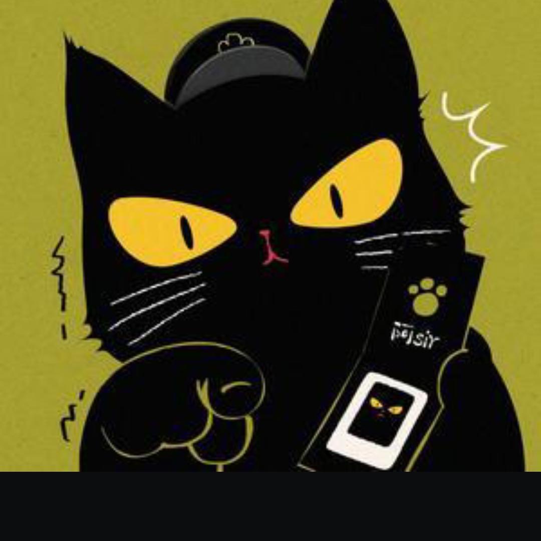 黑猫探视AI