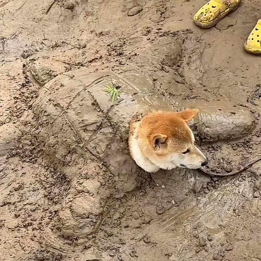 揍