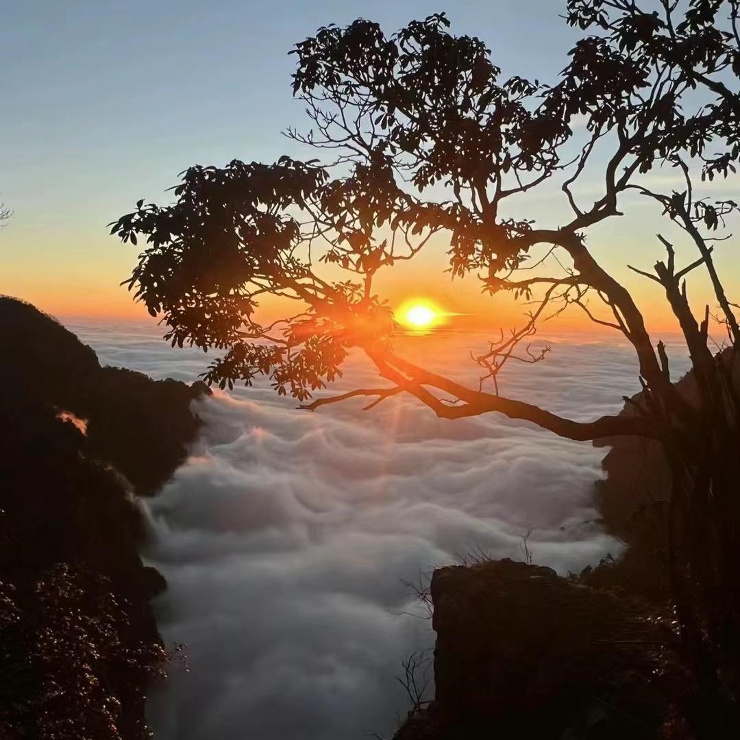 🈚️茗•䨇子🌟