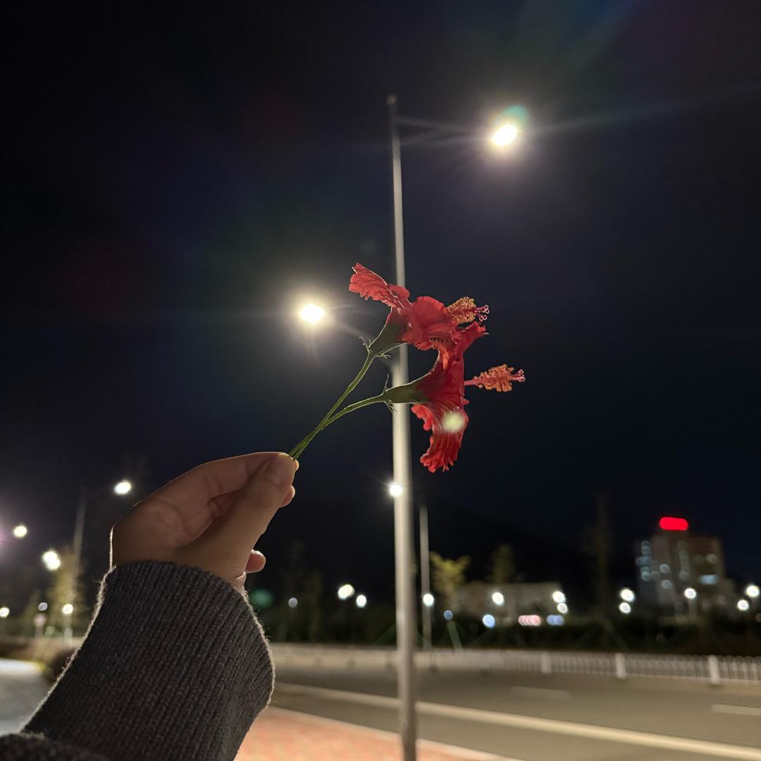 ➕一点草莓喵