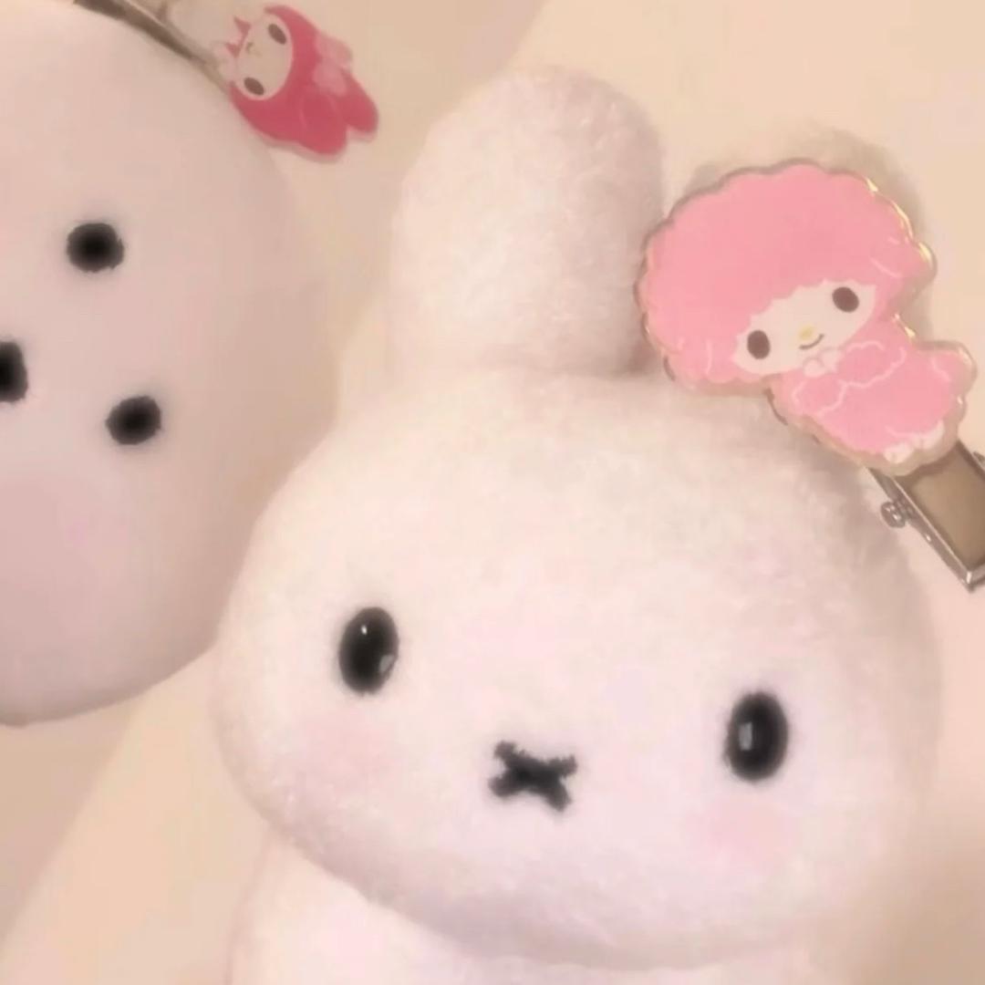 多吉的蛋挞公主