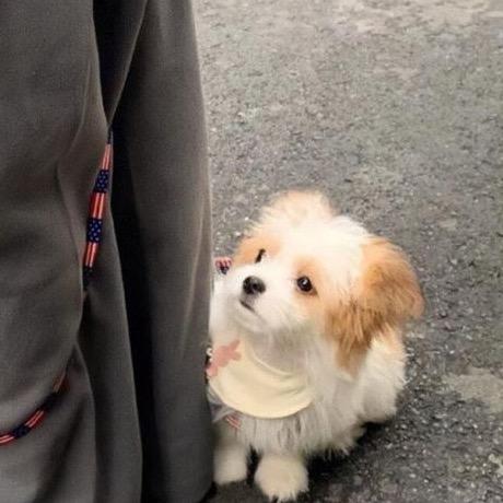 不是你的小鱼