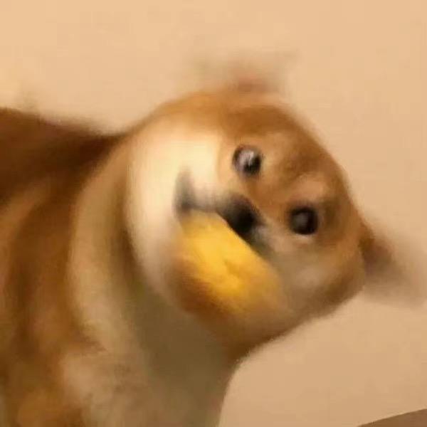 永远在生气