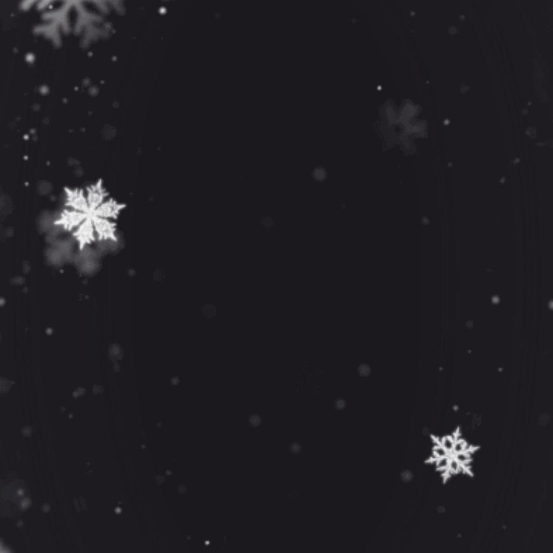 小不点