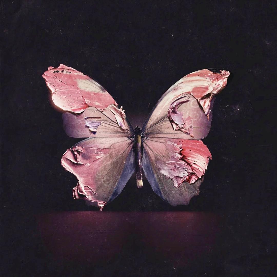 枫叶做的风铃🎐